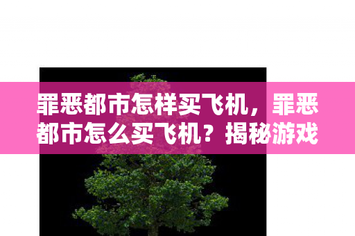 罪恶都市怎样买飞机，罪恶都市怎么买飞机？揭秘游戏内隐藏购买攻略