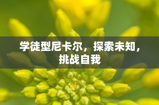 学徒型尼卡尔，探索未知，挑战自我