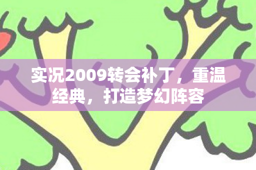 实况2009转会补丁，重温经典，打造梦幻阵容