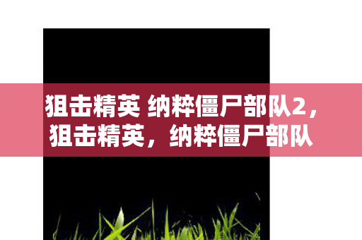 狙击精英 纳粹僵尸部队2，狙击精英，纳粹僵尸部队