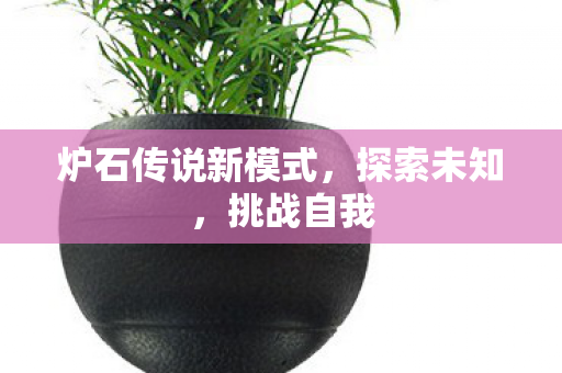 炉石传说新模式图片