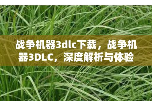 战争机器3dlc下载，战争机器3DLC，深度解析与体验分享