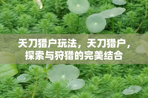 天刀猎户玩法，天刀猎户，探索与狩猎的完美结合