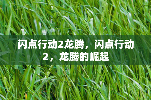 闪点行动2龙腾，闪点行动2，龙腾的崛起