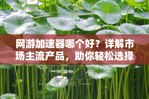 网游加速器哪个好图片