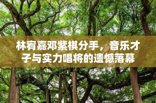 林宥嘉邓紫棋分手，音乐才子与实力唱将的遗憾落幕