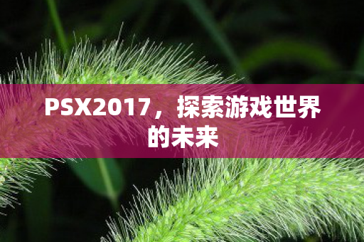 PSX2017，探索游戏世界的未来