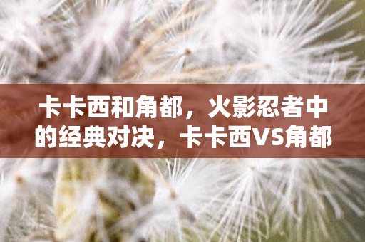 卡卡西和角都，火影忍者中的经典对决，卡卡西VS角都