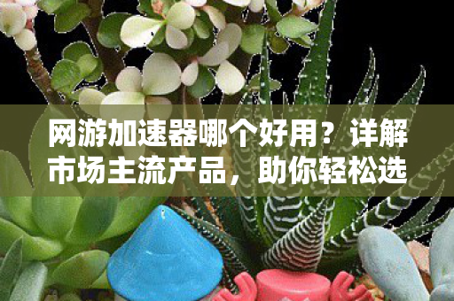 网游加速器哪个好用？详解市场主流产品，助你轻松选择