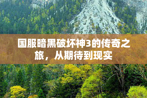 国服暗黑破坏神3的传奇之旅图片