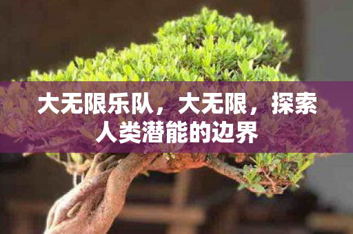 大无限乐队，大无限，探索人类潜能的边界