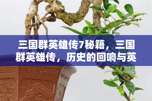 三国群英雄传7秘籍，三国群英雄传，历史的回响与英雄的传奇