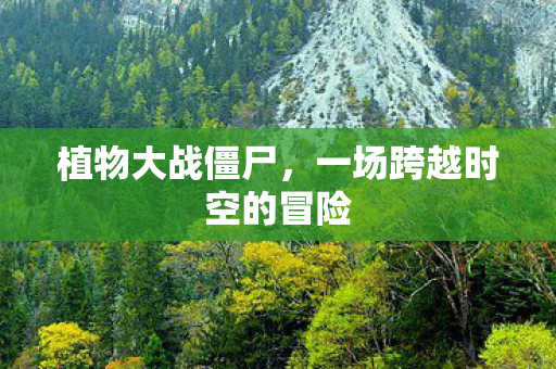 植物大战僵尸，一场跨越时空的冒险