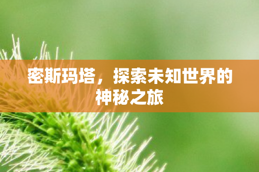 密斯玛塔，探索未知世界的神秘之旅