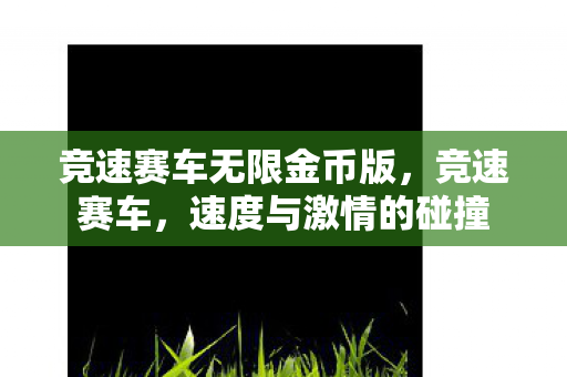 竞速赛车无限金币版，竞速赛车，速度与激情的碰撞