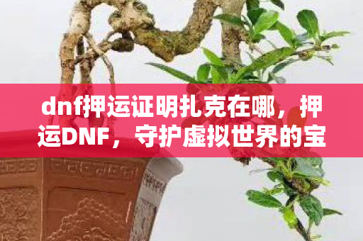 dnf押运证明扎克在哪图片