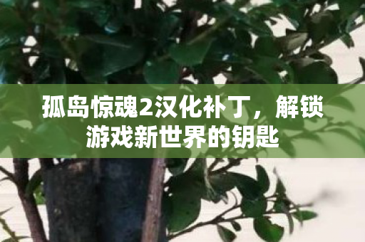 解锁游戏新世界的钥匙图片