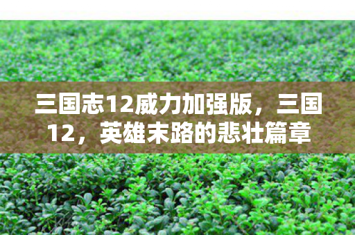 三国志12威力加强版，三国12，英雄末路的悲壮篇章