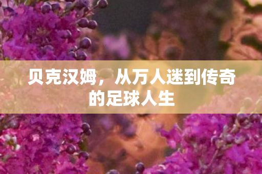 贝克汉姆，从万人迷到传奇的足球人生