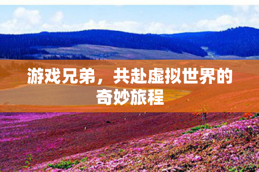 游戏兄弟，共赴虚拟世界的奇妙旅程