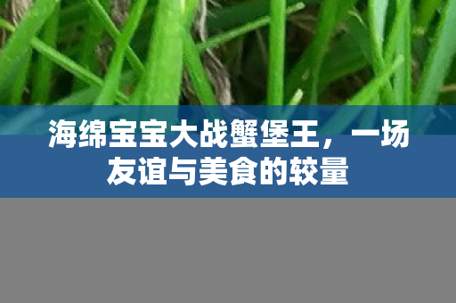 海绵宝宝大战蟹堡王，一场友谊与美食的较量