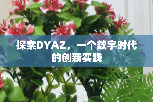 探索DYAZ，一个数字时代的创新实践