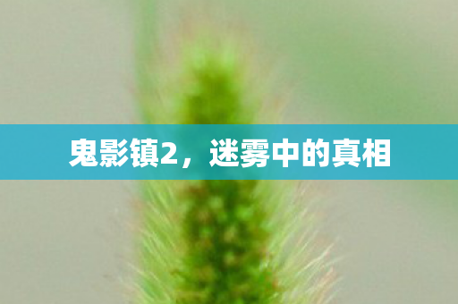 鬼影镇2，迷雾中的真相