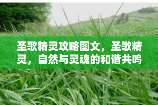 圣歌精灵攻略图文，圣歌精灵，自然与灵魂的和谐共鸣