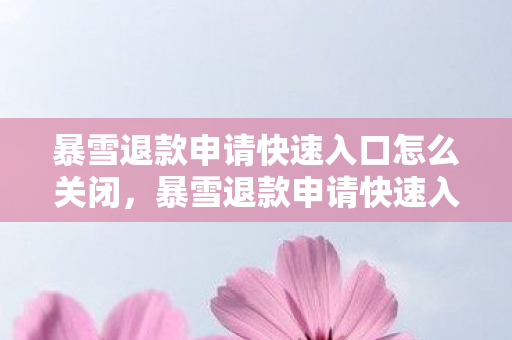 暴雪退款申请快速入口怎么关闭图片