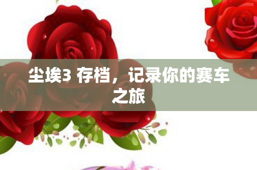 记录你的赛车之旅图片