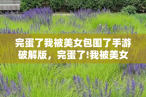 完蛋了我被美女包围了手游破解版，完蛋了!我被美女包围了!