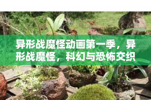 异形战魔怪动画第一季，异形战魔怪，科幻与恐怖交织的银幕传奇