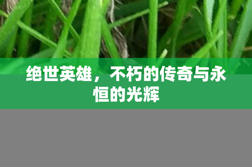 不朽的传奇与永恒的光辉图片