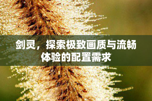 探索极致画质与流畅体验的配置需求图片