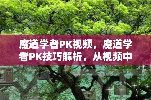 魔道学者PK视频，魔道学者PK技巧解析，从视频中学习高效战术