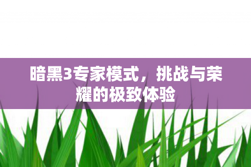 挑战与荣耀的极致体验图片
