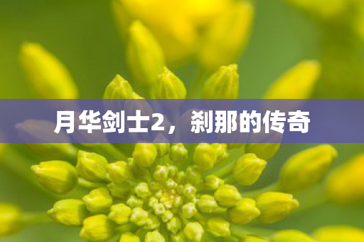 月华剑士2，刹那的传奇