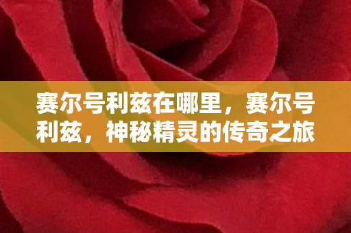 神秘精灵的传奇之旅图片