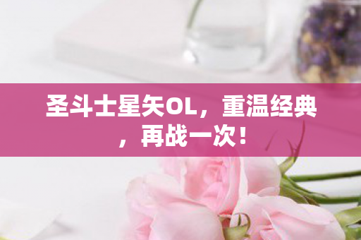 圣斗士星矢OL图片