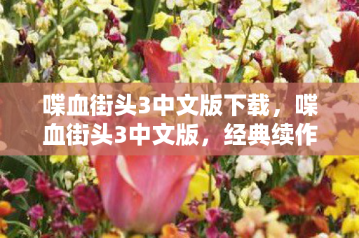 喋血街头3中文版下载，喋血街头3中文版，经典续作，再现江湖风云