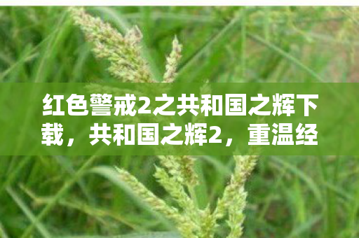 红色警戒2之共和国之辉下载图片