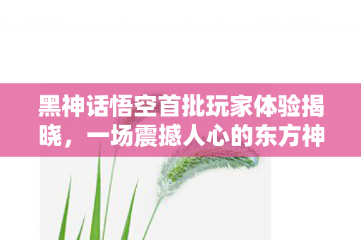 黑神话悟空首批玩家体验揭晓，一场震撼人心的东方神话之旅