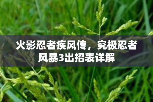 火影忍者疾风传，究极忍者风暴3出招表详解