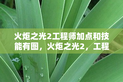火炬之光2工程师加点和技能有图，火炬之光2，工程师的奇妙冒险