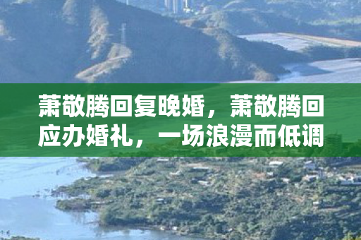 萧敬腾回复晚婚，萧敬腾回应办婚礼，一场浪漫而低调的私人庆典