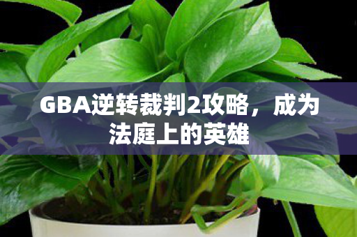 GBA逆转裁判2攻略，成为法庭上的英雄
