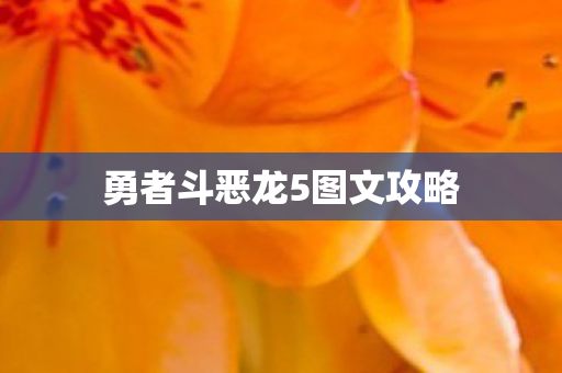 勇者斗恶龙5图文攻略