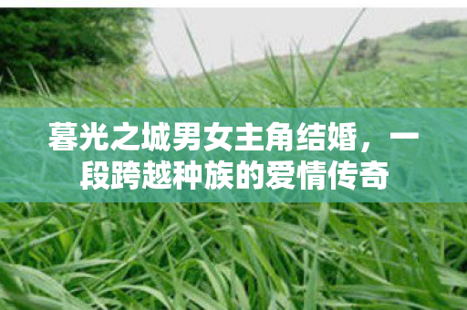 一段跨越种族的爱情传奇图片