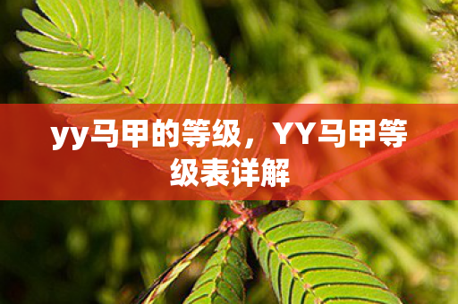 yy马甲的等级，YY马甲等级表详解