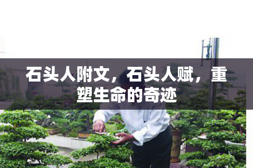 重塑生命的奇迹图片